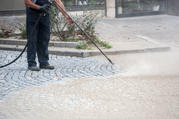 Best Dumpster Area Cleaning  in Cliffside Park, NJ